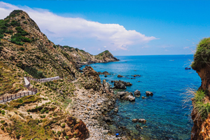 quy-nhon-t-pass
